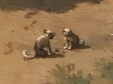 カナレットとヴェネツィアの輝き（SOMPO美術館）に投稿された画像（2024/12/11）