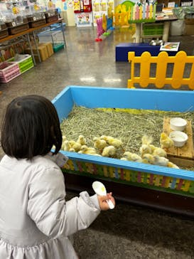 東京あそびマーレに投稿された画像（2024/12/11）