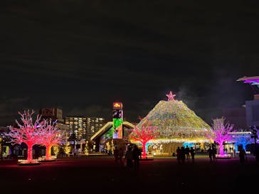 東京メガイルミに投稿された画像（2024/12/11）
