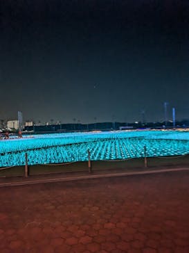 東京メガイルミに投稿された画像（2024/12/11）