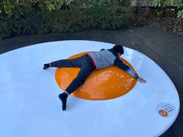 彫刻の森美術館に投稿された画像（2024/12/11）