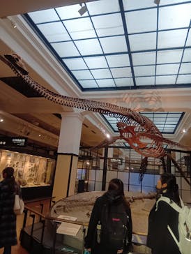 国立科学博物館に投稿された画像（2024/12/11）