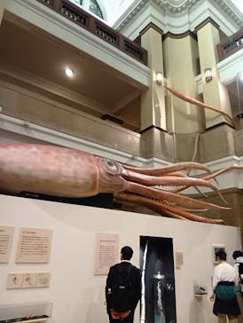 国立科学博物館に投稿された画像（2024/12/11）