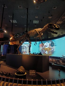 国立科学博物館に投稿された画像（2024/12/11）