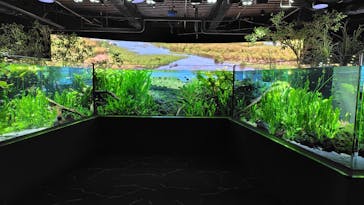 カワスイ 川崎⽔族館に投稿された画像（2024/12/11）