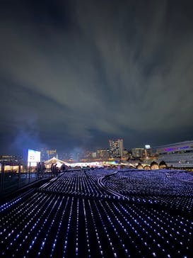 東京メガイルミに投稿された画像（2024/12/11）