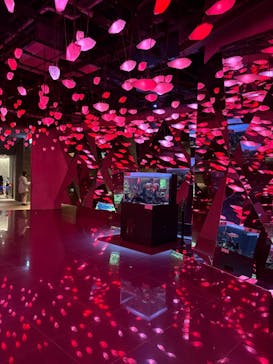 AQUARIUM × ART　atoa×神戸どうぶつ王国に投稿された画像（2024/12/11）