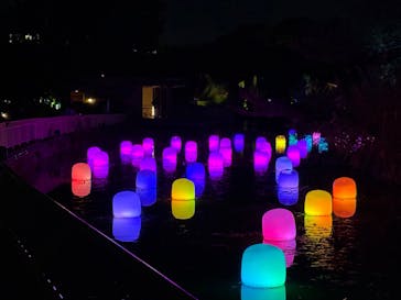 チームラボ ボタニカルガーデン 大阪に投稿された画像（2024/12/11）