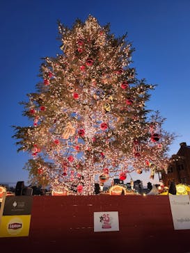 Christmas Market in 横浜赤レンガ倉庫 2025に投稿された画像（2024/12/11）