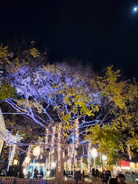 Christmas Market in 横浜赤レンガ倉庫 2025に投稿された画像（2024/12/11）