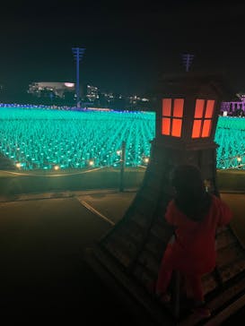 東京メガイルミに投稿された画像（2024/12/11）