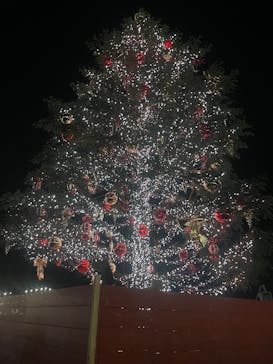 Christmas Market in 横浜赤レンガ倉庫 2025に投稿された画像（2024/12/11）