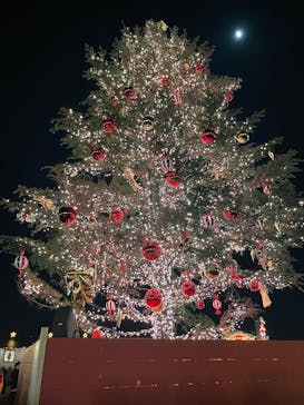 Christmas Market in 横浜赤レンガ倉庫 2025に投稿された画像（2024/12/11）