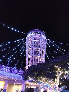 江の島シーキャンドルに投稿された画像（2024/12/11）