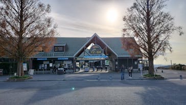 マザー牧場に投稿された画像（2024/12/11）