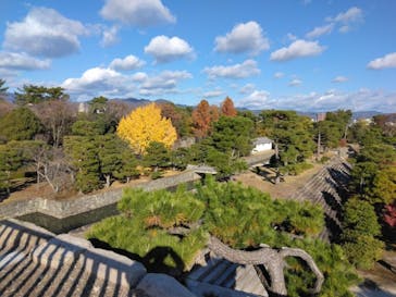 元離宮二条城に投稿された画像（2024/12/11）