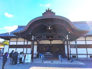 元離宮二条城に投稿された画像（2024/12/11）