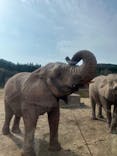 秋吉台自然動物公園 サファリランドに投稿された画像（2024/12/12）