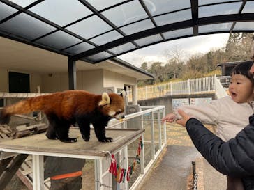 秋吉台自然動物公園 サファリランドに投稿された画像（2024/12/12）