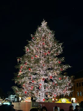 Christmas Market in 横浜赤レンガ倉庫 2025に投稿された画像（2024/12/12）
