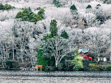 箱根海賊船に投稿された画像（2024/12/12）