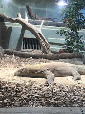 名古屋市東山動植物園に投稿された画像（2024/12/12）