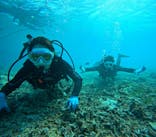 青の洞窟専門店　沖縄ダイビングショップ和に投稿された画像（2024/12/12）