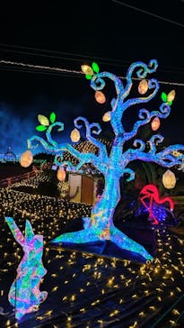 伊豆高原グランイルミに投稿された画像（2024/12/12）