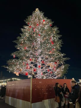 Christmas Market in 横浜赤レンガ倉庫 2025に投稿された画像（2024/12/12）