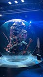 AQUARIUM × ART　atoa×神戸ポートタワーに投稿された画像（2024/12/12）