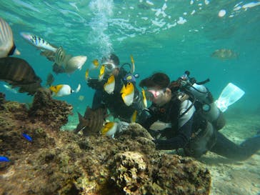 武藤潜水に投稿された画像（2024/12/12）