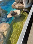 京都水族館に投稿された画像（2024/12/12）