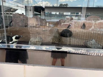 京都水族館に投稿された画像（2024/12/12）