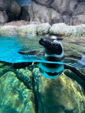 横浜・八景島シーパラダイスに投稿された画像（2024/12/12）