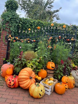 横浜イングリッシュガーデンに投稿された画像（2024/12/12）