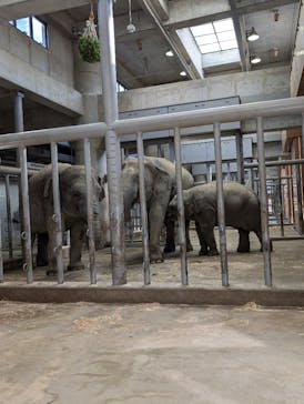 名古屋市東山動植物園に投稿された画像（2024/12/12）