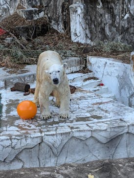 名古屋市東山動植物園に投稿された画像（2024/12/12）