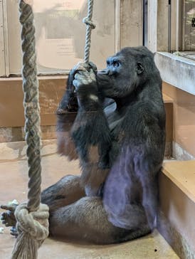 名古屋市東山動植物園に投稿された画像（2024/12/12）