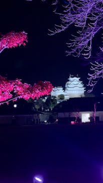 姫路城ライトアップイベント　鏡花水月　@姫路城三の丸広場に投稿された画像（2024/12/12）