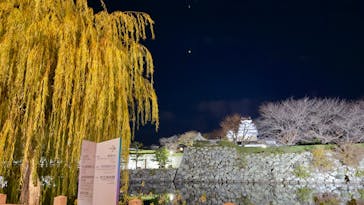 姫路城ライトアップイベント　鏡花水月　@姫路城三の丸広場に投稿された画像（2024/12/12）