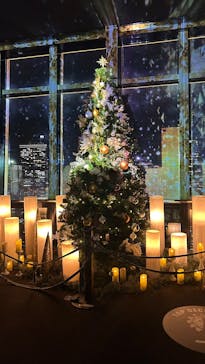 東京タワーに投稿された画像（2024/12/12）