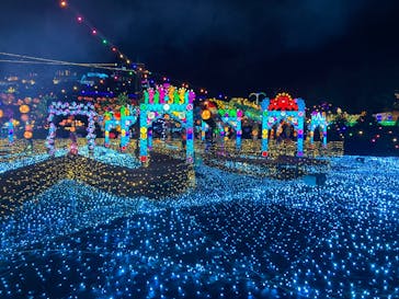 伊豆高原グランイルミに投稿された画像（2024/12/12）