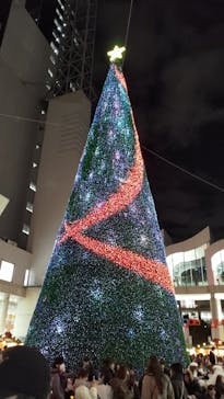 梅田スカイビル・空中庭園展望台に投稿された画像（2024/12/12）