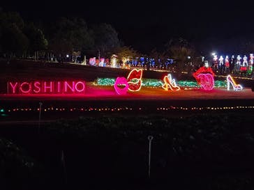 鹿児島イルミナージュに投稿された画像（2024/12/12）