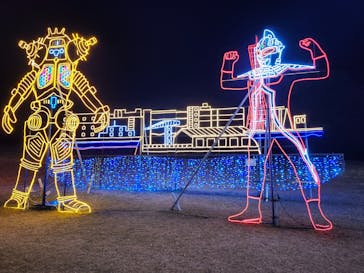 鹿児島イルミナージュに投稿された画像（2024/12/12）