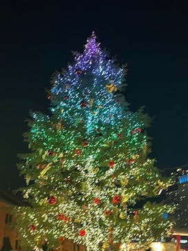 Christmas Market in 横浜赤レンガ倉庫 2025に投稿された画像（2024/12/12）