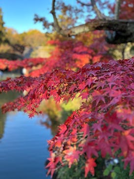 名古屋市東山動植物園に投稿された画像（2024/12/12）