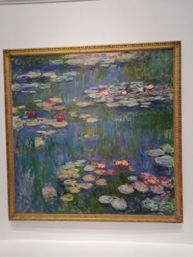 モネ 睡蓮のとき（国立西洋美術館）に投稿された画像（2024/12/13）