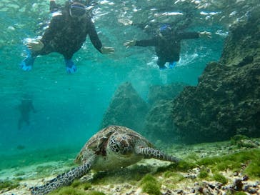 宮古島 ADVENTURE PiPi（ミヤコジマ アドベンチャー ピピ）に投稿された画像（2024/12/13）