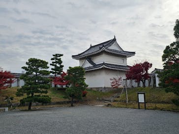 元離宮二条城に投稿された画像（2024/12/13）